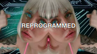 Reprogrammed with Scarlett's Chip
