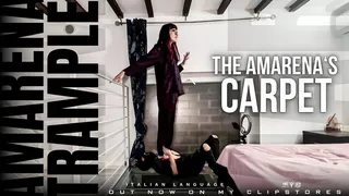 The Amarena's carpet [ITA]