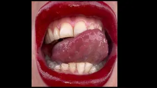 Mouth tour 2