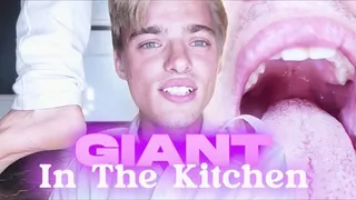 Unaware Giant In The Kitchen