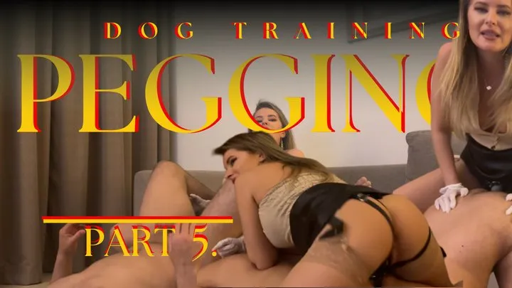 Dog Training Pegging Part 5