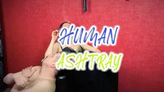 HUMAN ASHTRAY ANGLE 2