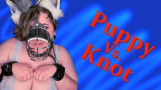 Puppy vs Knot: Big tit pet takes thick knotted dildo