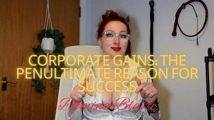 Corporate Gains: The Penultimate Reason for Success