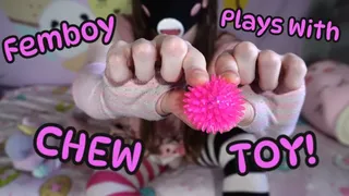 Femboy Plays With Chew Toy!