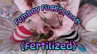 Femboy FUCKS plant! (Fertilized)