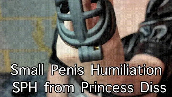 Small Penis Humiliation SPH from Princess Diss