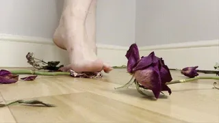 Princess Diss Crushing & Stomping Flowers