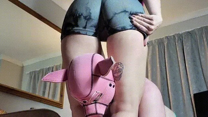 Headscissor the Piggy