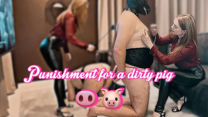 The dirty pig will be whipped and her nipples will stand