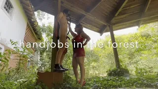 Handjobs in the forest