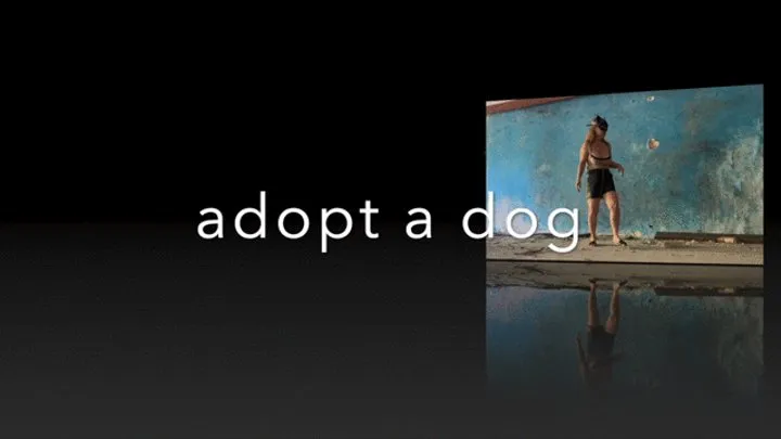 Adopt a puppy