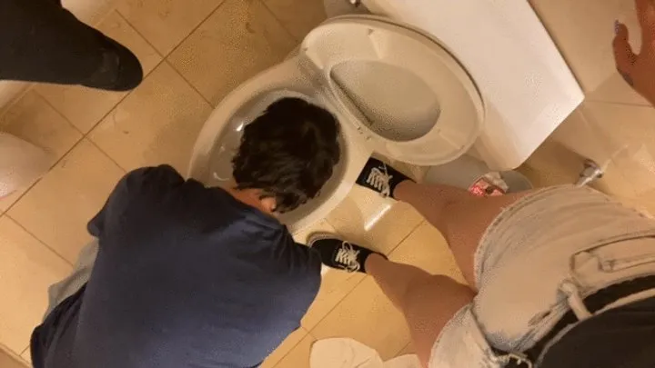 Toilet Humiliation