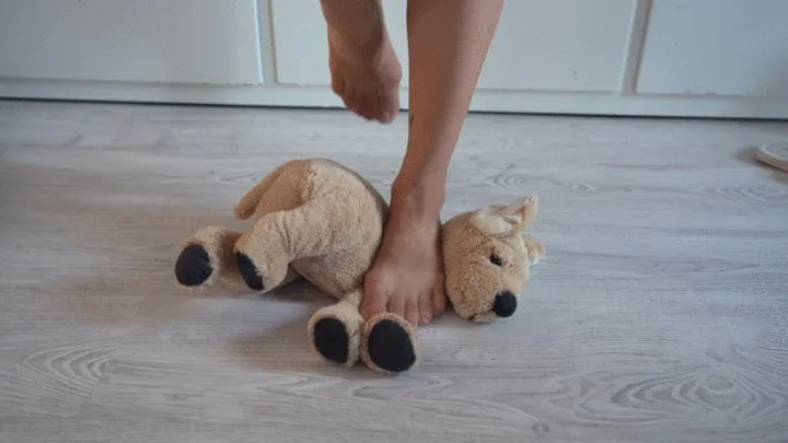 Toy dog slave crush and trampled under my nylon stinky feet foot worship