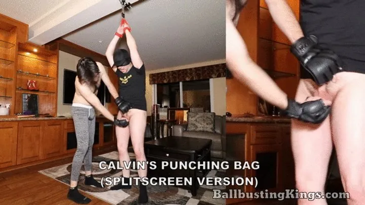 Calvin's Punching Bag