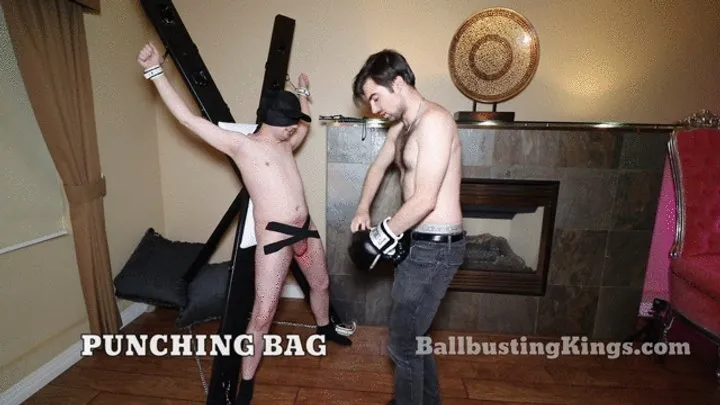 Punching Bag