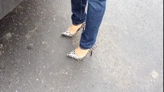 KsSunflwr, jeans and leopard stiletto heels