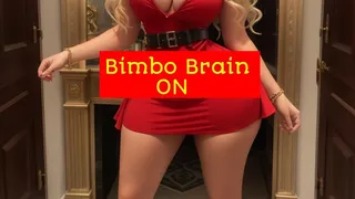 Bimbo Brain ON
