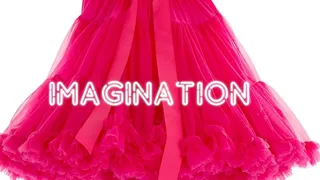 Imagination