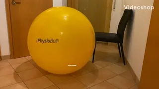 hot yellow gymball bounce