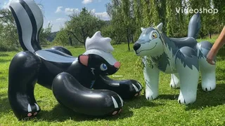 skunk and wolf bounce