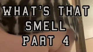 What's that Smell - Part 4 - 50 Farts BBW Farting