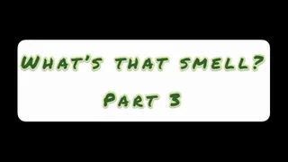 What is that smell - over 50 farts mixed together