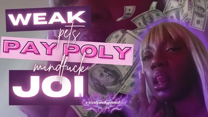 Weak Pets Pay Poly! Findom Mindfuck JOI Ebony Domme