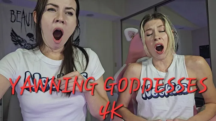 YAWNING GODDESSES!