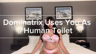 Dominatrix Uses You As Human Toilet