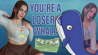 You're a Loser Whale