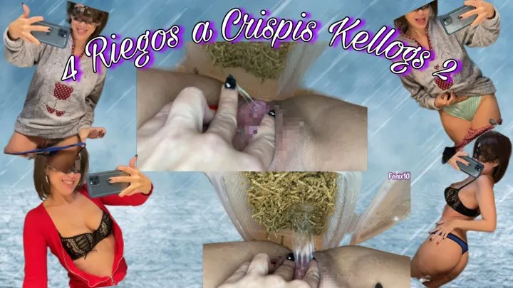 ?4 IRRIGATIONS TO CRISPIS KELLOGS 2