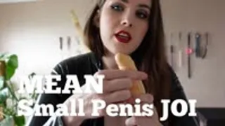 Mean Small Penis JOI