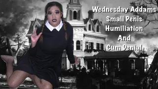 Wednesday Addams Small Penis Humiliation And Cum Denial