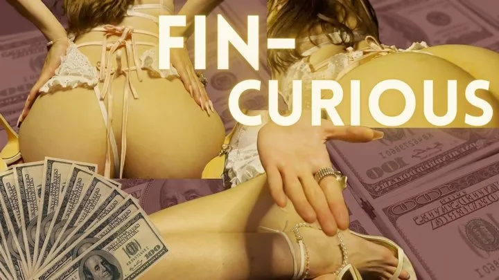 Fin-Curious - Intro to Findom