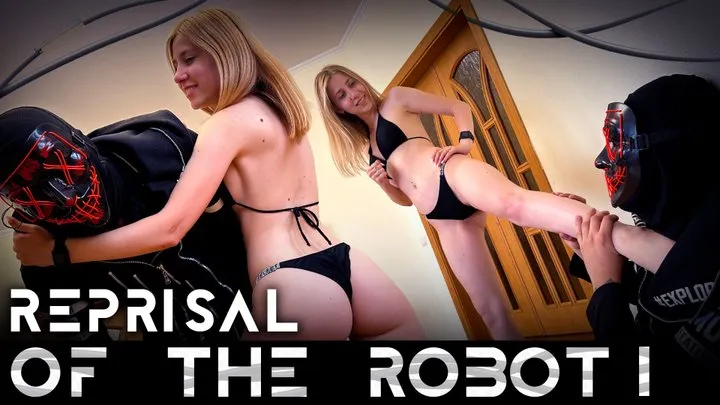 Reprisal of the Robot