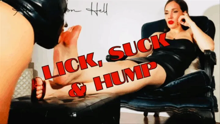 Lick, Suck & Hump