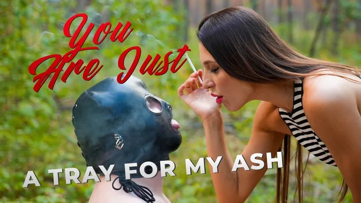 You Are Just a Tray for My Ash