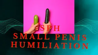 Small Penis Humiliation SPH - ABDL, Degradation, Intense Tingles, Age Regress, Littlespace, Adult Diapers Stepmom Stepdad Mind Melt, Mesmerize, Induction, Trance,