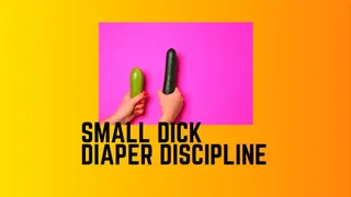 Diaper Discipline For Having A Small Dicklette SPH - ABDL, StepDaddy Dom, Incontinence, Bedwetting, Age Regression, Littlespace, Adult Diaper, Diaper Wetting,