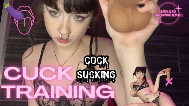 CUCK COCK-SUCKING TRAINING