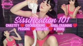 SISSIFICATION 101: Cocksucking, Lingerie, Chastity, & More