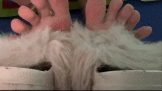 Inside My Slippers