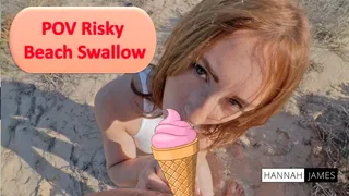 P.O.V Risky Beach Swallow