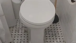 Prove You're Worthy to be my Toilet
