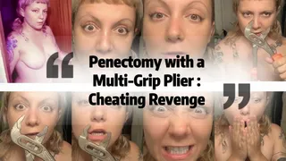 Penectomy with a Multi Grip Plier - cheating revenge!