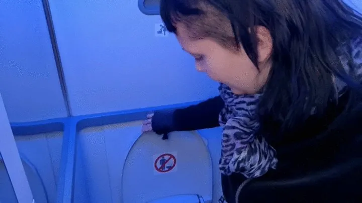 Peeing in the airplane toilet to France