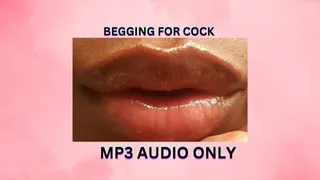 BEGGING FOR COCK *MP3*