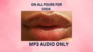 ON ALL FOURS FOR COCK *MP3*