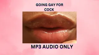 GOING GAY FOR COCK *MP3*